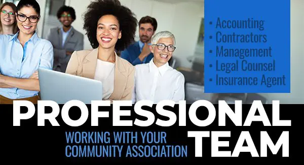 A diverse group of business professionals smiles in an office; text lists services: accounting, contractors, management, legal counsel, insurance agent. Bold text reads "Professional Team.