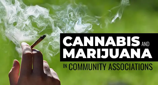 A hand holds a lit joint with smoke rising, accompanied by the text "Cannabis and Marijuana in Community Associations.
