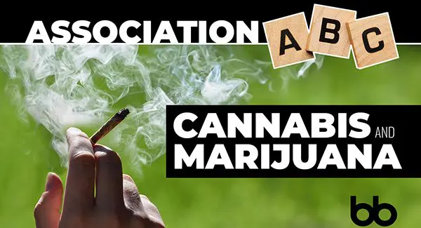 A hand holds a lit cannabis joint with smoke, overlaid with text reading "Association ABC: Cannabis and Marijuana" and Scrabble letter tiles.