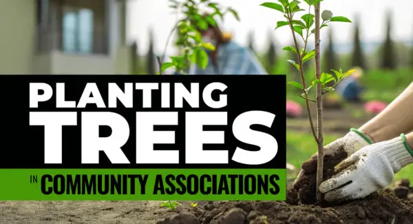A person wearing gloves plants a young tree in soil, with the text “Planting Trees in Community Associations” overlayed on the image.