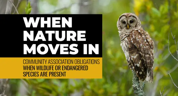 A barred owl perches on a tree branch next to a text overlay discussing community association obligations for wildlife or endangered species.