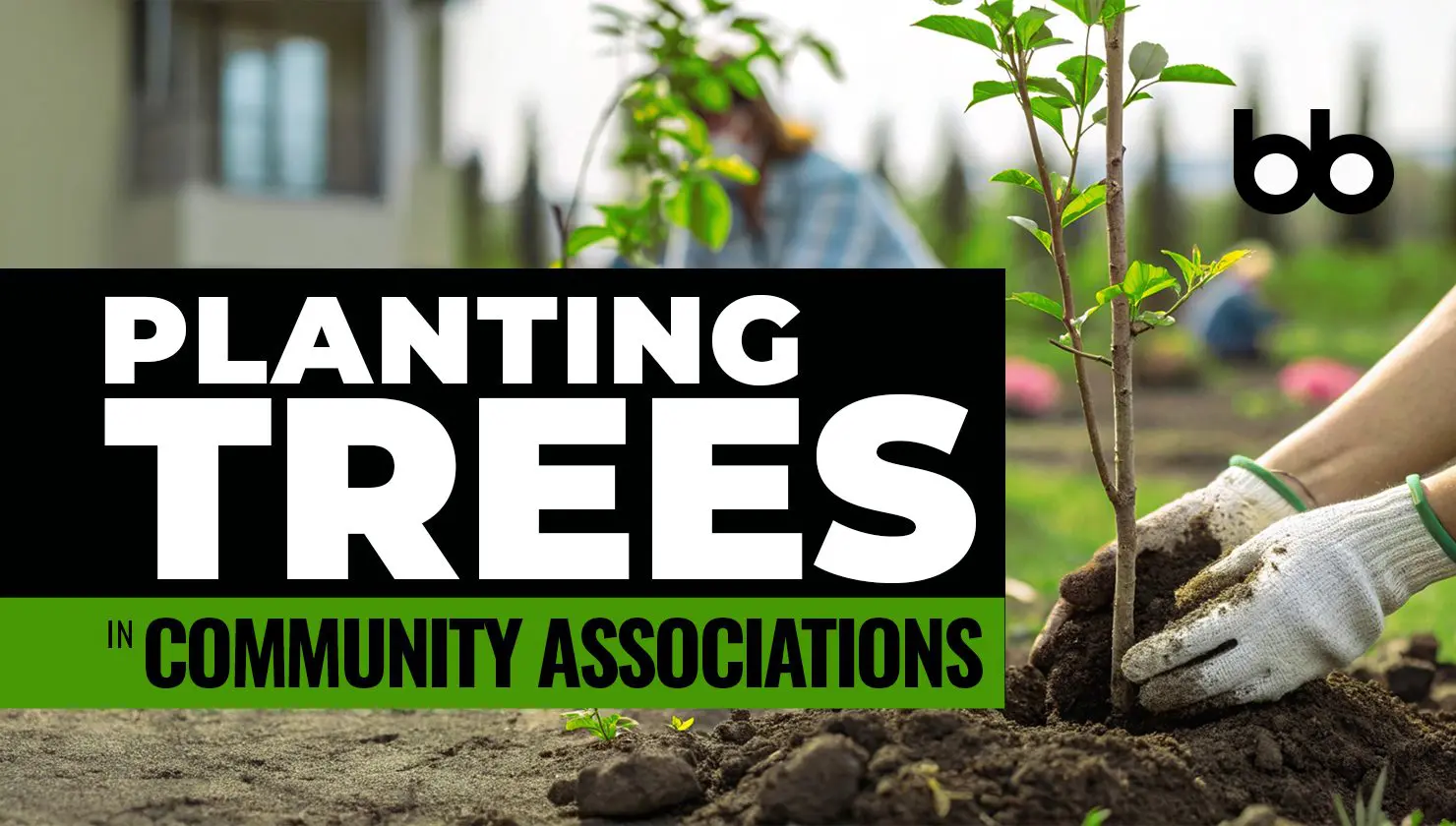 Person planting a young tree in soil with gloved hands; text reads "Planting Trees in Community Associations.