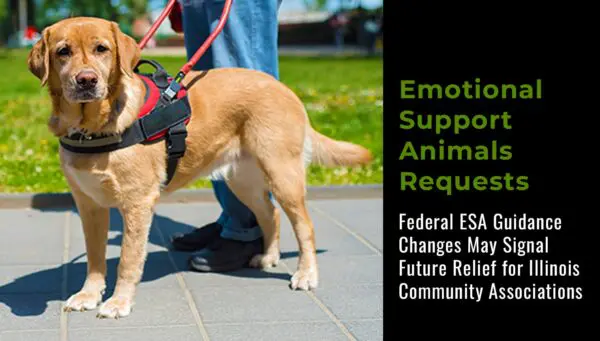 A person stands with a harnessed emotional support dog outdoors next to text about changes in ESA guidance for Illinois community associations.