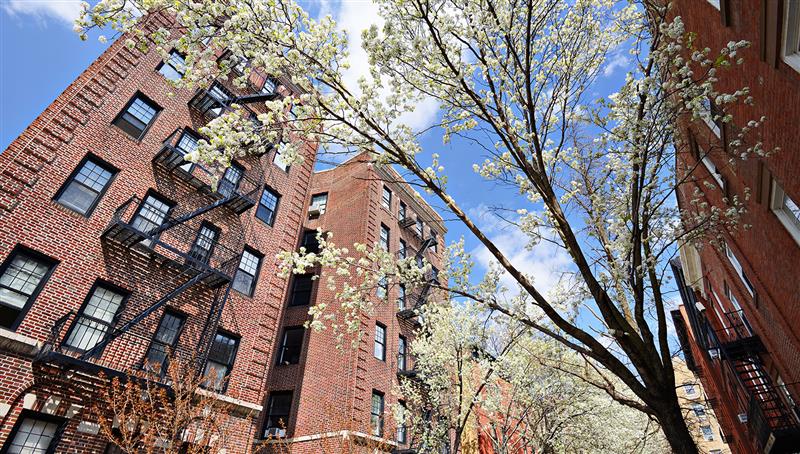 Red brick apartment buildings with black fire escapes stand beside flowering trees under a blue sky with scattered clouds.
